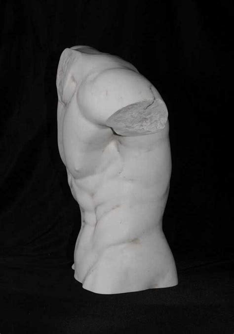 Italian Statue Of Nude Male Torso S For Sale At Pamono