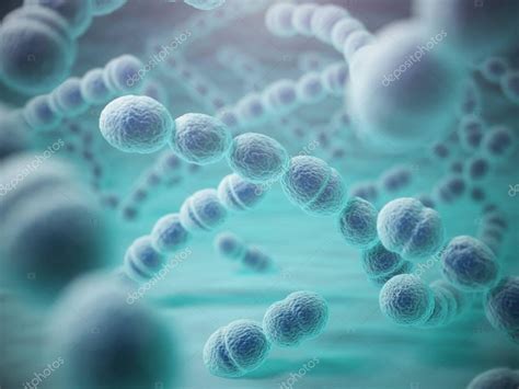 Streptococcus Pneumoniae O Bacterias Neumococcus