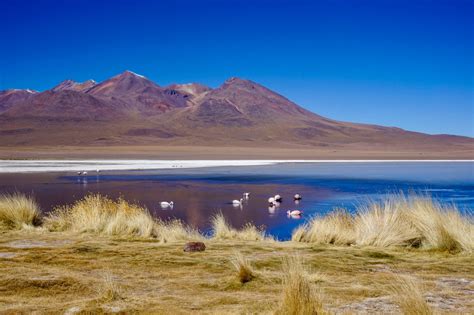 A tour through the Bolivian Salt Flats - One of the most beautiful ...