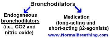 Most Potent Bronchodilators Are Natural