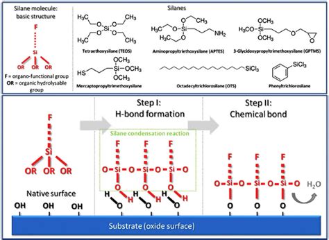 Silanization process adopted from Ref.. 103 | Download Scientific Diagram