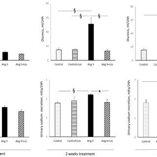 Effects Of Ang II And Losartan Administration On 24 H Urinary Calcium