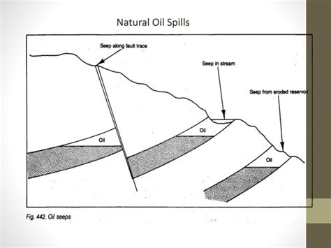 Petroleum Geology | PPT