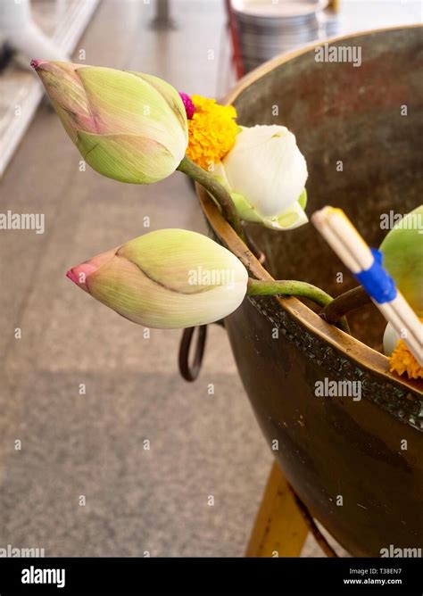 Burn Incense And Worship Buddha Hi Res Stock Photography And Images Alamy