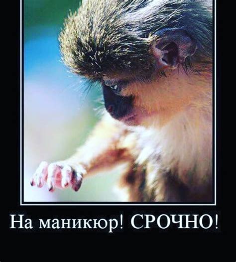 приколы про мастера маникюра | Маникюр, Смешно, Визитки салона