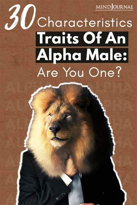 30 characteristics of an alpha male are you one – Artofit