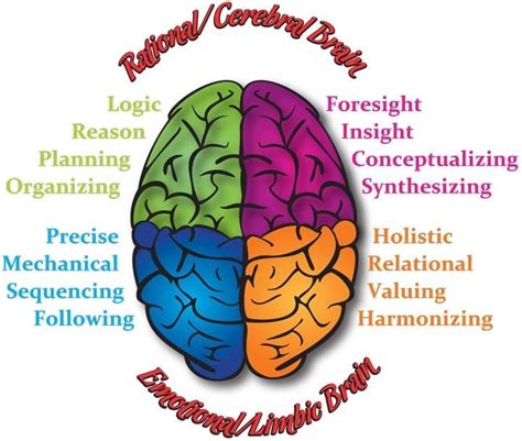 Brain & Behavior | Free Training