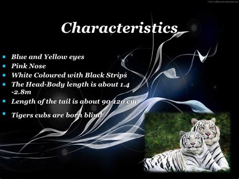 White Tiger