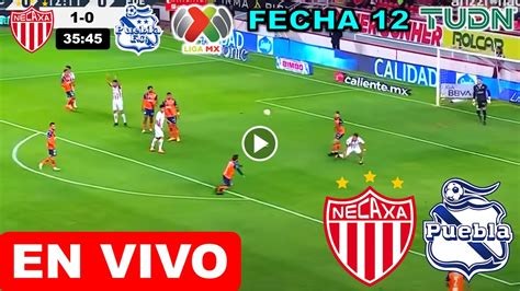 Necaxa Vs Puebla En Vivo Donde Ver A Que Hora Juega Necaxa Vs