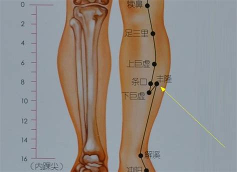 夏季浑身酸痛、疲惫怎么回事 搜狐