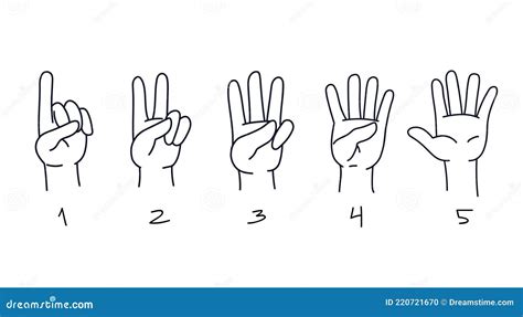 Counting From One To Five On The Fingers Hand Gestures For Preschool