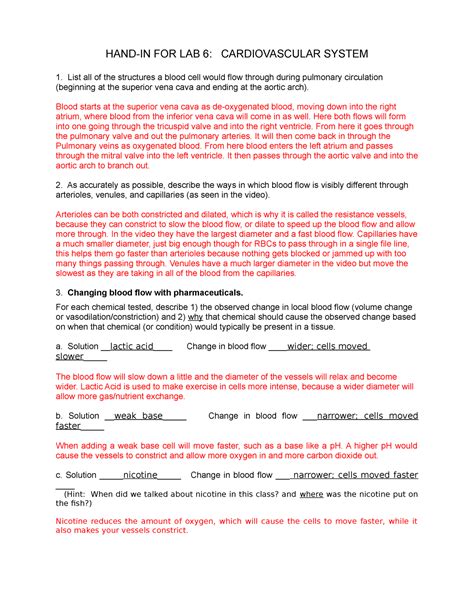 Lab 6 Answers To Lab6 Hand In For Lab 6 Cardiovascular System List