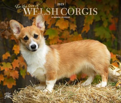 For The Love Of Welsh Corgis 2023 Deluxe Wall Calendar Stickers