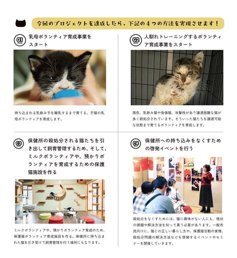 保健所に持ち込まれた猫たちを救う！ 市内に保護猫ボランティア育成施設を作り、猫を救う人材を育成し、殺処分ゼロを目指す！ ネコリパブリック