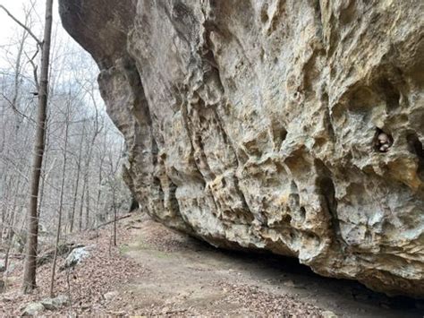 Best Hikes And Trails In Mantle Rock Preserve AllTrails