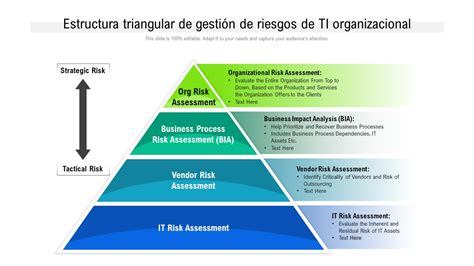 Las 10 Mejores Plantillas De Marco Organizacional Con Muestras Y Ejemplos