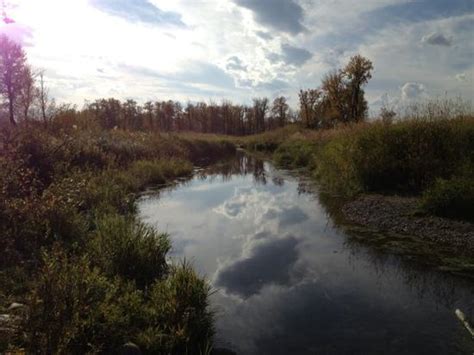 Fish Creek Provincial Park Calgary All You Need To Know Before You