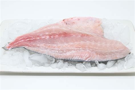 Kampachi Fillet - 1lb – Four Star Seafood and Provisions