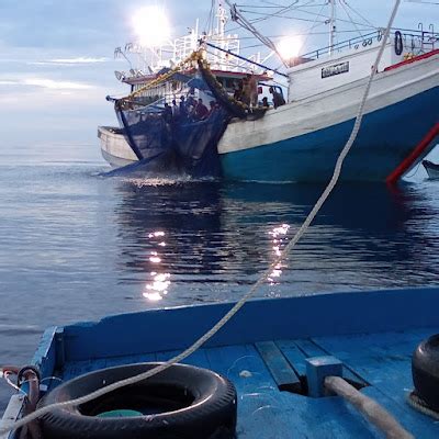 Kapal Kapal Cantrang Beroperasi Di Anambas Nelayan Lokal Mengeluh