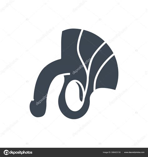 Male Reproductive System Related Vector Glyph Icon Male Reproductive System Image Vectorielle