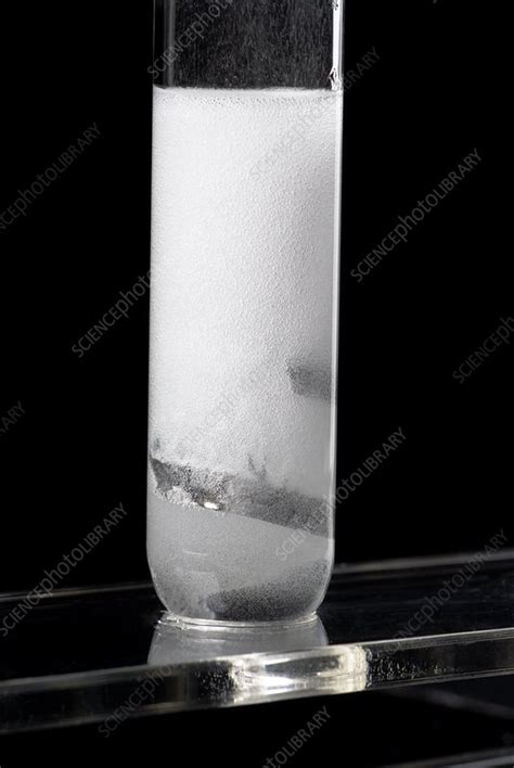 Magnesium Reacting With Acid Stock Image C010 2422 Science Photo