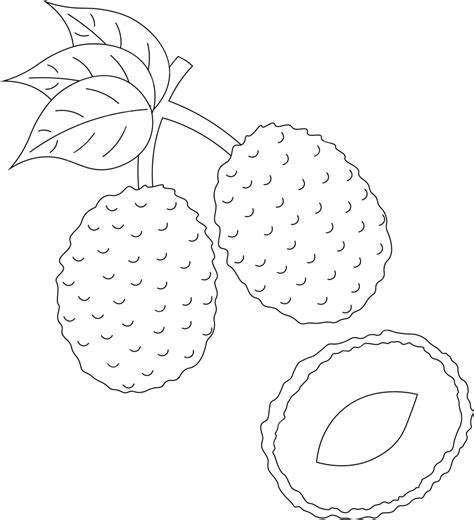 Guiwei Lychee Vector PNG Vector PSD And Clipart With Transparent