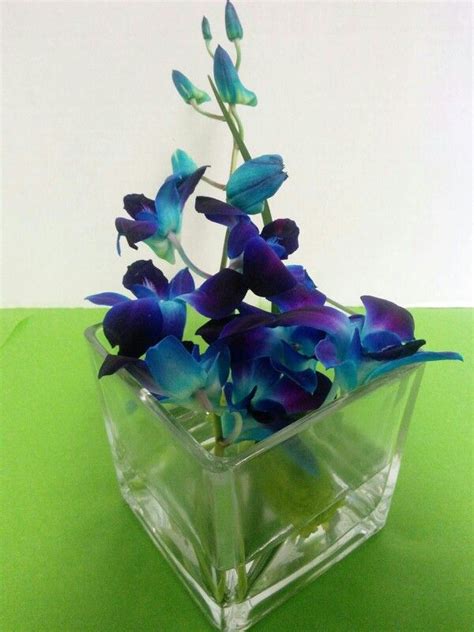 Blue orchid centerpiecw | Blue orchids, Glass vase, Centerpieces