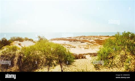 Vue panoramique aérienne le paysage de la Ccuronian Spit en été avec la