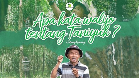 Ceritapahlawankaret Apa Kata Mereka Tentang Taniyuk Talangkemang