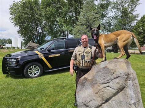 Box Elder County Law Enforcement Agencies Get New K 9 Certifications Local News