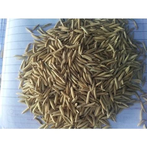 Dried Brown Raw Paddy Seeds For Food Processing Packaging Type Loose