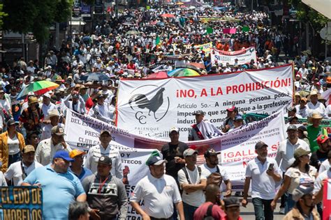 MARCHAN A FAVOR DE LAS CORRIDAS DE TOROS Y PELEAS DE GALLOS EN CDMX