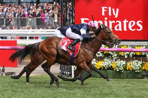 Melbourne Cup winners dominate 2018 Australian Cup nominations - HorseRacing.com.au