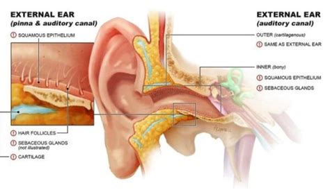 What Causes Ear Pain after Swimming? Stay Alert!