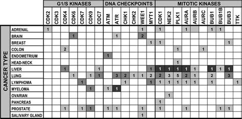 Overexpression of cell cycle kinases as detected by expression profiles ... 
