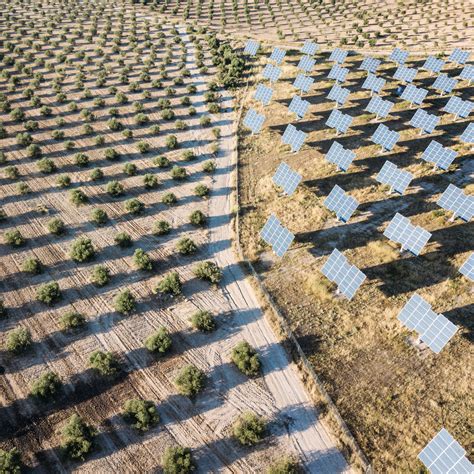 Agriculture trends disrupting the food value chain | McKinsey