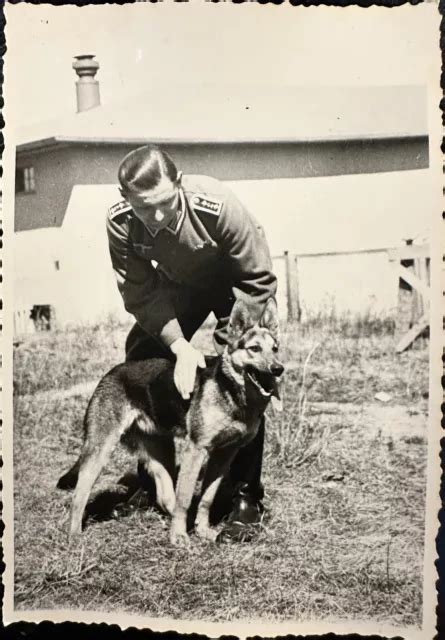 GERMAN PHOTO WW2 ARCHIVE Maître Chien WEHRMACHT BERGER ALLEMAND EUR