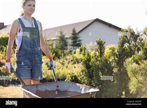 Weibliche Gärtner pushing Schubkarre in Gärtnerei Stockfotografie Alamy