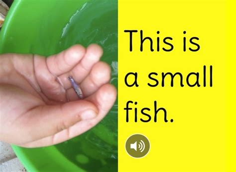 ‎Little Fish on Apple Books