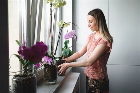 Conoce el profundo significado de que florezca una orquídea en tu casa