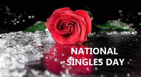 National Singles Day Wishes Messages Quotes