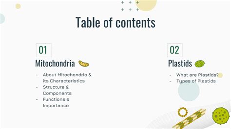 Biology Cell The Unit Of Life Mitochondria And Plastids Ppt Groupwork