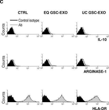 Human Mouse Arginase Arg Fluorescein Conjugated Antibody Ic F R