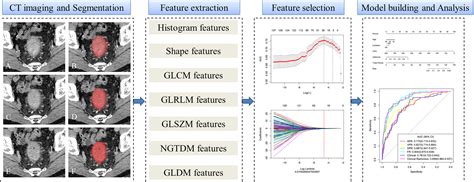 Frontiers Predicting Microsatellite Instability Status In Colorectal