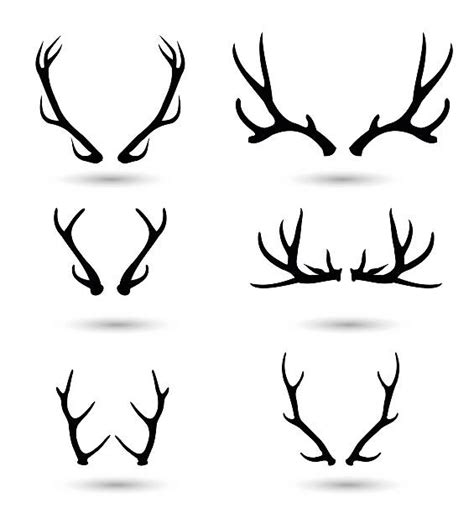 Antler Illustrations Royalty Free Vector Graphics And Clip Art Istock