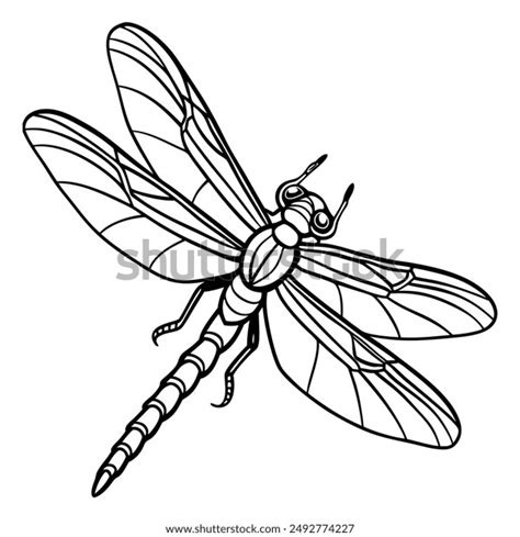 Dragonfly Drawing Royalty-Free Images, Stock Photos & Pictures ...