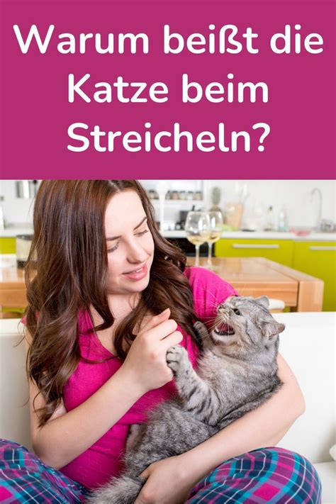 Warum beißt Katze beim Streicheln Katzen Katzen körpersprache