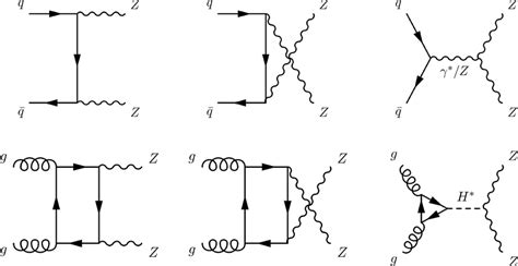 Lowest Order Feynman Diagrams For Zz Production The A T Channel And