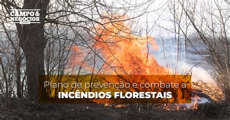 Plano De Prevenção E Combate A Incêndios Florestais Revista Campo