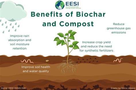 The Role Of Biochar In Sustainable Agriculture Shapiro